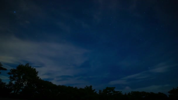 Een timelapse van de sterrenhemel in het bos in Shizuoka 's nachts brede opname — Stockvideo