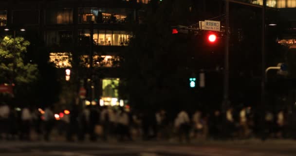 A night cityscape of walking people at the business town in Tokyo long shot — Stock Video