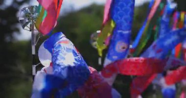 Ryujin 'de sazan bayrakları. Ibaraki' deki büyük köprü. Gündüz güneşli.