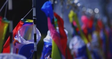 Ryujin 'de sazan bayrakları. Ibaraki' deki büyük köprü. Gündüz güneşli.