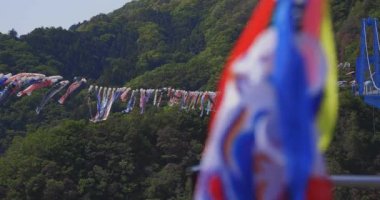 Ryujin 'de sazan bayrakları. Ibaraki' deki büyük köprü. Gündüz güneşli.