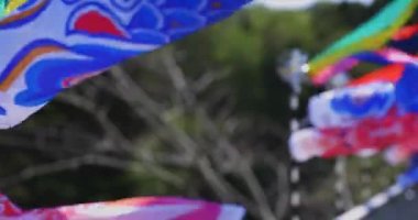 Ryujin 'de sazan bayrakları. Ibaraki' de büyük bir köprü. Gündüz güneşli yakın çekim.