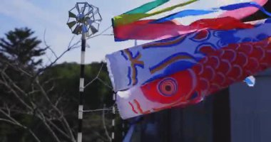 Ibaraki 'deki Ryujin Köprüsü' nde sazan balığı şeritleri. Gündüz güneşli, yakın çekim el kamerası.