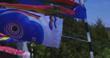 Ibaraki 'deki Ryujin Köprüsü' nde sazan balığı şeritleri. Gündüz güneşli, yakın çekim el kamerası.