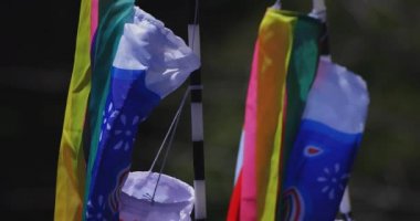 Ryujin 'de sazan bayrakları. Ibaraki' de büyük bir köprü. Gündüz güneşli yakın çekim.