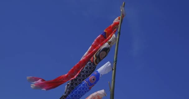 Karpfen Luftschlangen hinter dem blauen Himmel in Ibaraki tagsüber sonnigen Handheld — Stockvideo