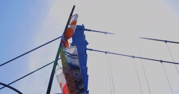 Carp streamers behind the blue sky in Ibaraki daytime sunny closeup handheld — Stock videók