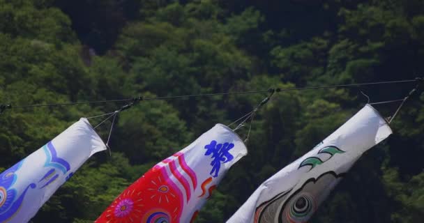 Carp streamers at Ryujin big bridge in Ibaraki daytime sunny closeup — Stock Video