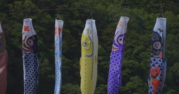 Carp streamers at Ryujin big bridge in Ibaraki daytime sunny handheld — стоковое видео