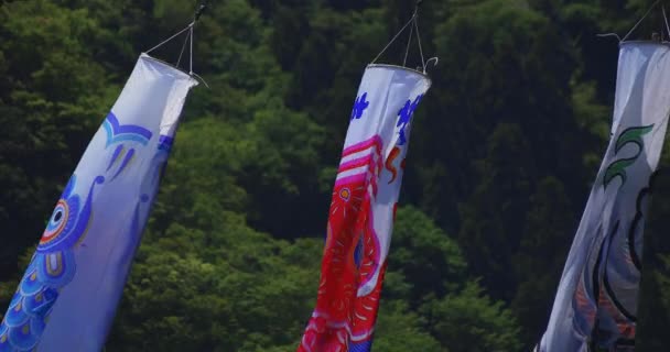 茨城県龍神大橋での鯉のストリーマー昼の日当たりの良い閉鎖 — ストック動画