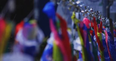 Ryujin 'de sazan bayrakları. Ibaraki' deki büyük köprü. Gündüz güneşli.