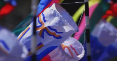 Ryujin 'de sazan bayrakları. Ibaraki' de büyük bir köprü. Gündüz güneşli yakın çekim.