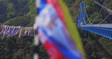 Ryujin 'de sazan bayrakları. Ibaraki' deki büyük köprü. Gündüz güneşli.