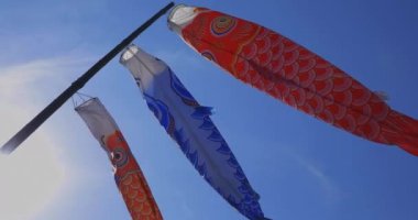 Ibaraki 'de gündüz güneşli el kamerasıyla mavi gökyüzünün arkasında sazan desenleri.