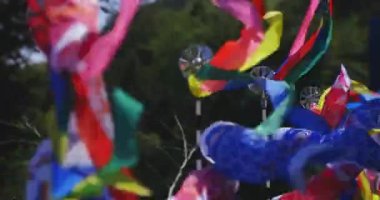 Ryujin 'de sazan bayrakları. Ibaraki' de büyük bir köprü. Gündüz güneşli yakın çekim.