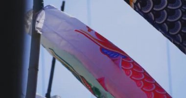 Ibaraki 'deki Ryujin Köprüsü' nde sazan balığı şeritleri. Gündüz güneşli, yakın çekim el kamerası.