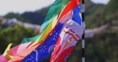 Ryujin 'de sazan bayrakları. Ibaraki' de büyük bir köprü. Gündüz güneşli yakın çekim.