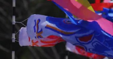 Ryujin 'de sazan bayrakları. Ibaraki' de büyük bir köprü. Gündüz güneşli yakın çekim.