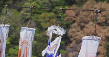 Ryujin 'de sazan bayrakları. Ibaraki' de büyük bir köprü. Gündüz güneşli yakın çekim.