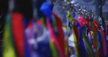 Ryujin 'de sazan bayrakları. Ibaraki' de büyük bir köprü. Gündüz güneşli yakın çekim.