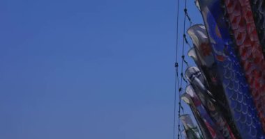 Ibaraki 'de gündüz güneşli fotokopi alanında mavi gökyüzünün arkasında sazan balığı şeritleri.