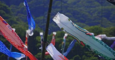 Ryujin 'de sazan bayrakları. Ibaraki' de büyük bir köprü. Gündüz güneşli yakın çekim.