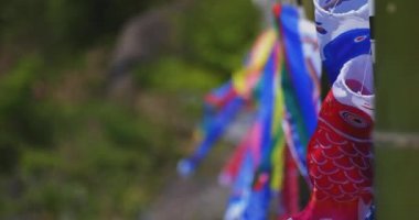 Ryujin 'de sazan bayrakları. Ibaraki' de büyük bir köprü. Gündüz güneşli yakın çekim.