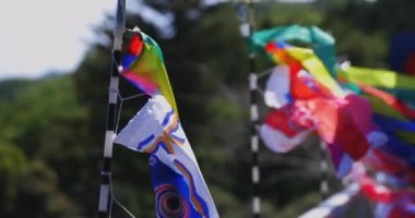 Ryujin 'de sazan bayrakları. Ibaraki' de büyük bir köprü. Gündüz güneşli yakın çekim.