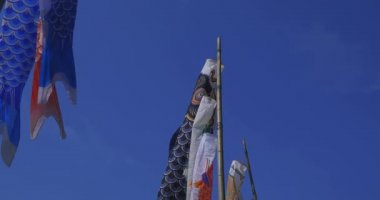 Ibaraki 'de gündüz güneşli el kamerasıyla mavi gökyüzünün arkasında sazan desenleri.