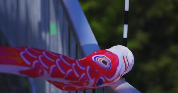 Carp streamers at Ryujin big bridge in Ibaraki daytime sunny closeup — Wideo stockowe