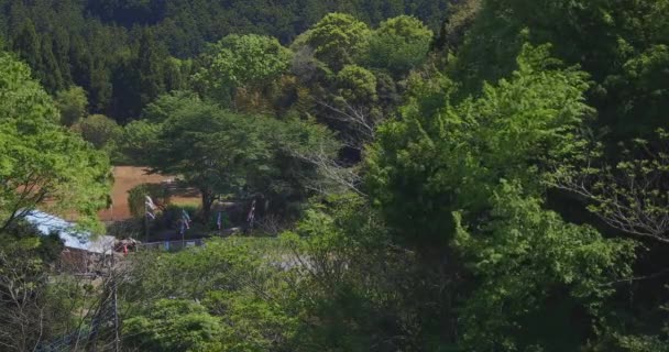 Serpentinas de carpa en Ryujin gran puente en Ibaraki soleado durante el día — Vídeos de Stock