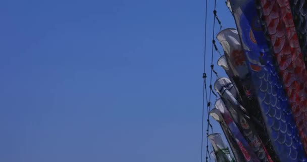 Karp streamers bakom den blå himlen i Ibaraki dagtid solig kopia utrymme — Stockvideo