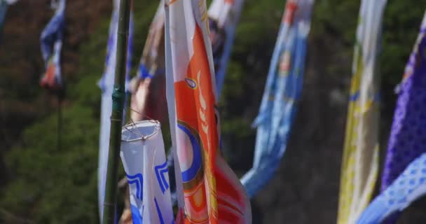 Carp streamers at Ryujin big bridge in Ibaraki daytime sunny closeup — Stock videók