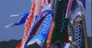 Ryujin 'de sazan bayrakları. Ibaraki' de büyük bir köprü. Gündüz güneşli yakın çekim.