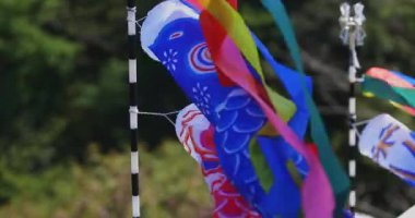 Ryujin 'de sazan bayrakları. Ibaraki' de büyük bir köprü. Gündüz güneşli yakın çekim.