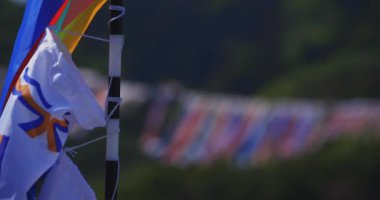 Ryujin 'de sazan bayrakları. Ibaraki' deki büyük köprü. Gündüz güneşli fotokopi alanı.