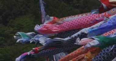 Ibaraki gündüz güneşli Ryujin büyük köprüde sazan flamalar