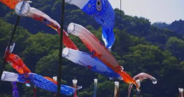 Ryujin 'de sazan bayrakları. Ibaraki' de büyük bir köprü. Gündüz güneşli yakın çekim.