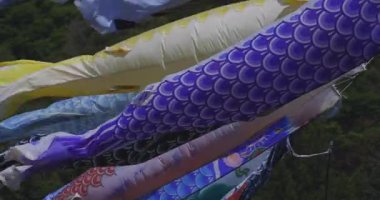 Ibaraki gündüz güneşli Ryujin büyük köprüde sazan flamalar