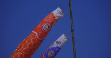 Ibaraki 'de gündüz güneşli gökyüzünün arkasında sazan balığı şeritleri.