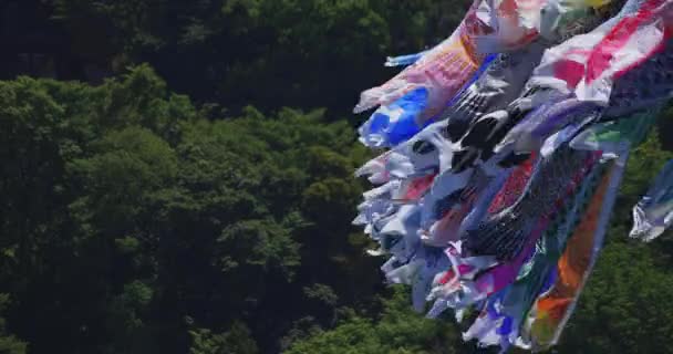 Carp streamers at Ryujin big bridge in Ibaraki daytime sunny copy space — Wideo stockowe