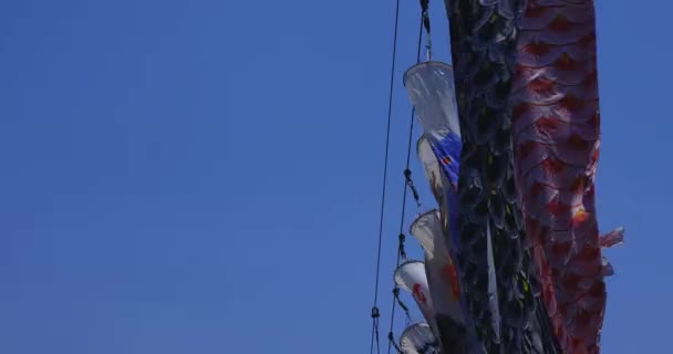 Carp streamers behind the blue sky in Ibaraki daytime sunny copy space — Stock videók