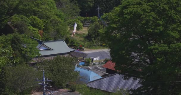 Ibaraki gündüz güneşli Ryujin büyük köprüde sazan flamalar — Stok video