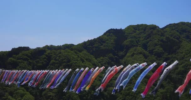 Carp streamers at Ryujin big bridge in Ibaraki daytime sunny copy space — Wideo stockowe