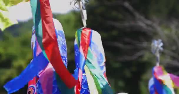 Carp streamers at Ryujin big bridge in Ibaraki daytime sunny closeup — Wideo stockowe