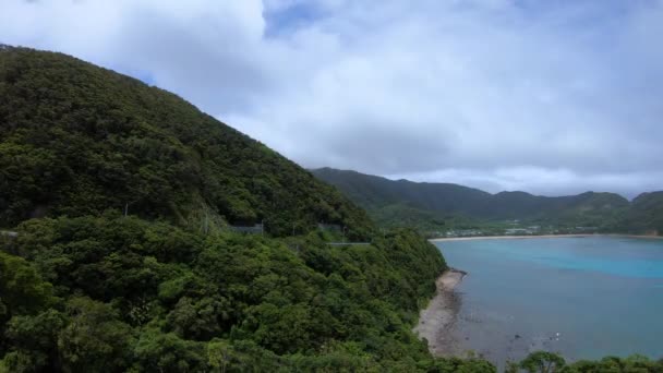 Timelapse cypla w pobliżu błękitnego oceanu w Amami Oshima Kagoshima — Wideo stockowe