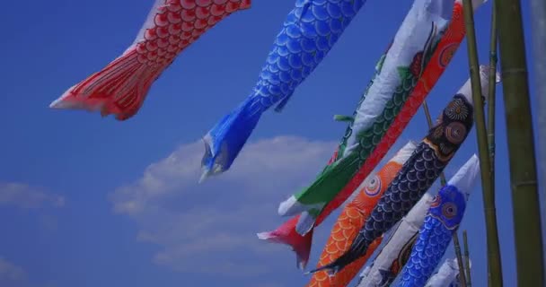 Ibaraki 'de gündüz güneşli fotokopi alanında mavi gökyüzünün arkasında sazan balığı şeritleri. — Stok video