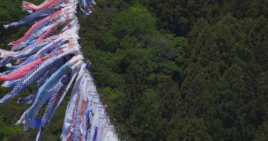 Ryujin 'de sazan bayrakları. Ibaraki' deki büyük köprü. Gündüz güneşli fotokopi alanı.