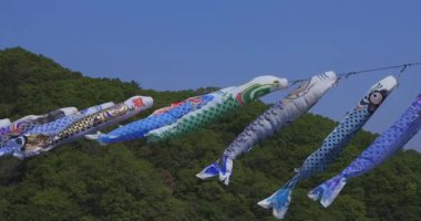 Ibaraki gündüz güneşli Ryujin büyük köprüde sazan flamalar