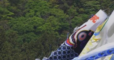 Ibaraki gündüz güneşli Ryujin büyük köprüde sazan flamalar